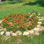 Aura Natura * Visoko