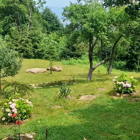 Aura Natura