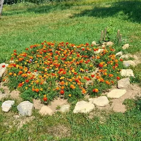 Aura Natura * Visoko
