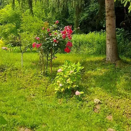 Holiday home Aura Natura Visoko
