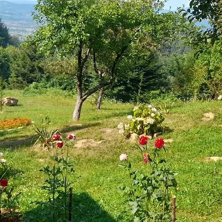 Aura Natura Visoko
