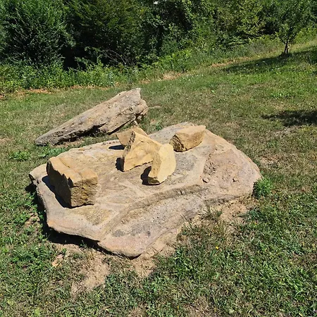 Aura Natura *