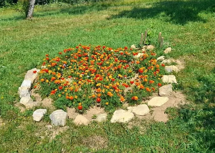 Aura Natura * Visoko