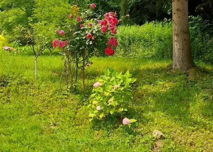 Hébergement de vacances Aura Natura Visoko